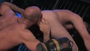 Alpha