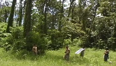 Bts-apex