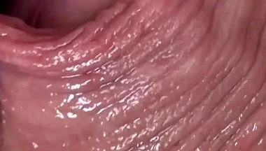 Cocksucker