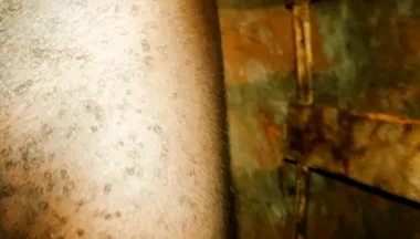 My Very Big Dick 567