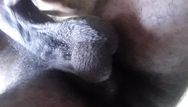 My Ball Sack Swings