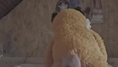 Plush Fox Love