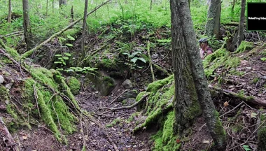 Gray Day Hiking