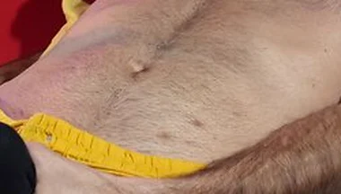 Big Dick Cumshot Compilation - Massive Cumshot - Solo Male Moaning And Cumming Hard