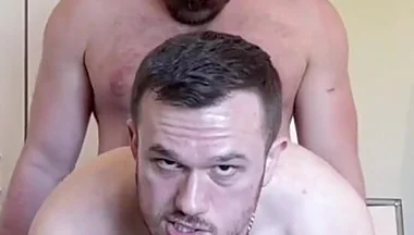 Two Pigs Fuck on a Blanket