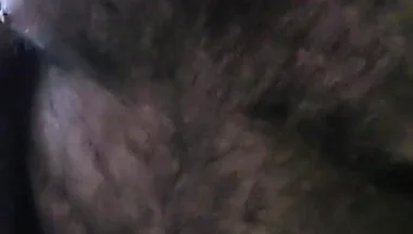 Bear Alone
