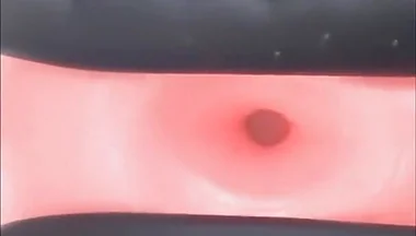 Exercise donut ball pumped