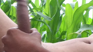Worldwide Viral Desi Hunk Solo Action Part 4 - Premium Faceless Amateur Close-up Raw Stroking Session 4K