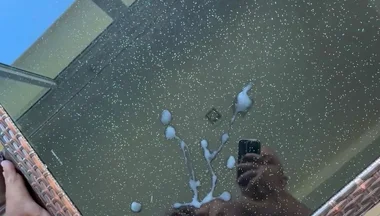 Cum on the Table Before Airbnb Checkout
