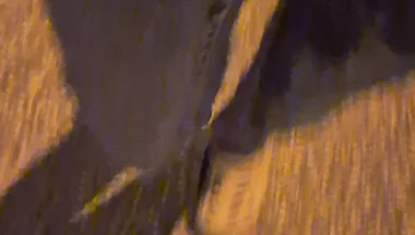 Pissing Jeans Outdoors