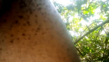Travel bush
