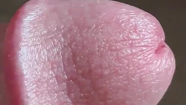 Closeup of Penis with One Vein