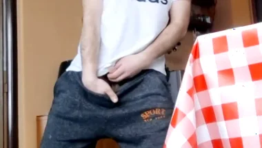 Compilation of Random Videos I Selected