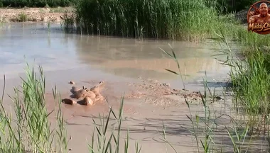 A Short Exploration of a New Mud Lake