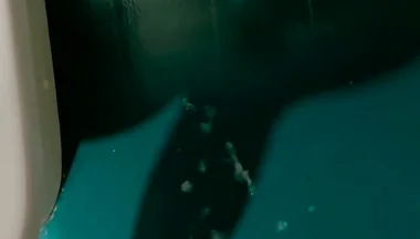 Shot Solo