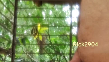 Playing with My Dick