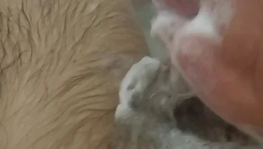 Bathroom Fun