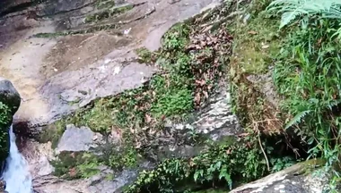 On a Walk to the River - Masturbation and Outdoor Urination