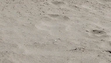 On the Beach Nude