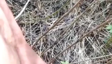 Outdoor Cumshot Complaition in Jungle