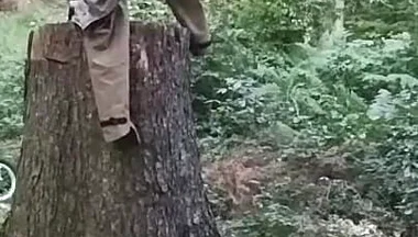 Stump Chase, Part One