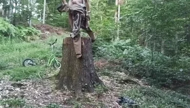 Stump Chase, Part One