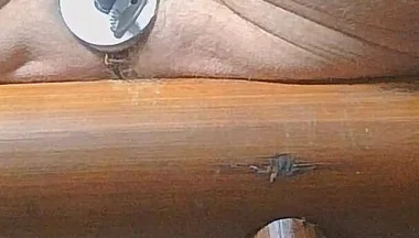 Long Edging