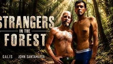 Strangers in the Forest