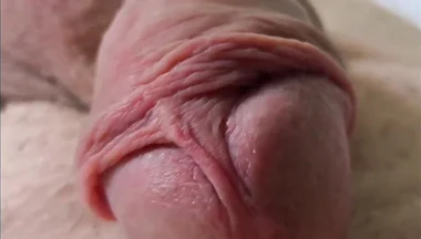 Camera Flight Over the Bear's Hairy Belly