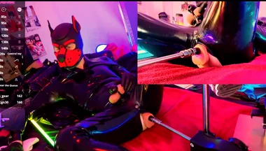 Nicolaus Rubber Show Mit Pup Maske