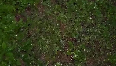 Almost Caught in a Park
