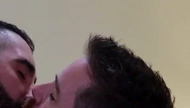 Bears Kissing