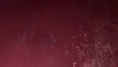 A Large Penis Seeking a Vagina