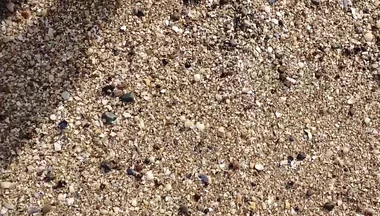 Short Test in the Mudflats on the Beach of Horumersiel