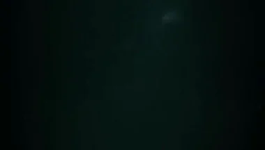 My Fast Videoxxx