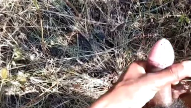 Desi Indian Sex Jungle Fucking Xxx Video