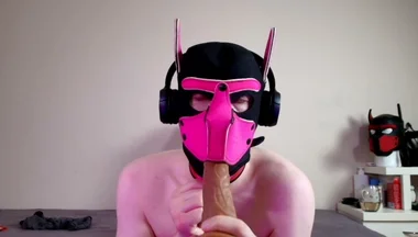 This Could Be Your Cock in Hound's Mouth