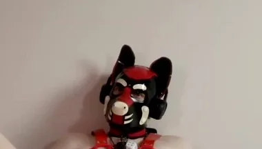 Spread Pet Paws and Plug Tease