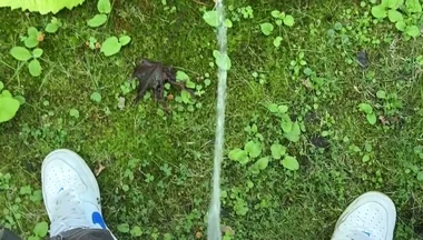 Golden Stream: Peeing in Paradise