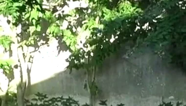 Fucked Raw in Exhib Ublic