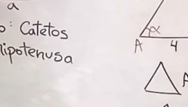86 Sexual Trigonometry Pythagorean Theorem
