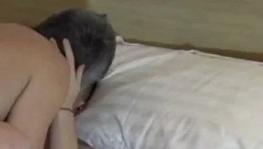 Fucked in Th Bed by His Froien From London