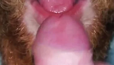 I Let My Stepbro Suck Me As Christmas Gift - Hunk Hands