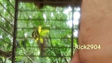 Playing with My Dick