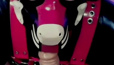 Goodboy Teases Playful Pup