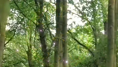 Fully Naked Walk in a Forest