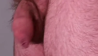 A Bear's Unkempt & Uncut Hairy Soft Cock - Long & Thick