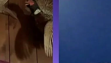 The Good Boy - Himeros Backstage