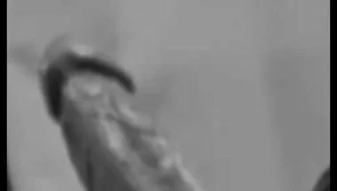 Intro