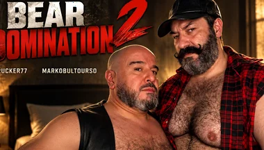 Bear Domination 2